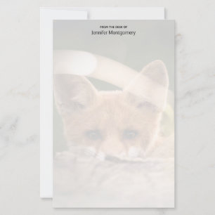 Photo de Cute Little Orange Fox