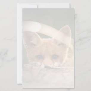 Photo de Cute Little Orange Fox