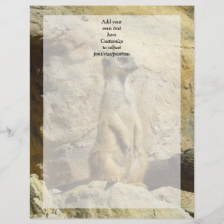 Photo de Cute meerkat