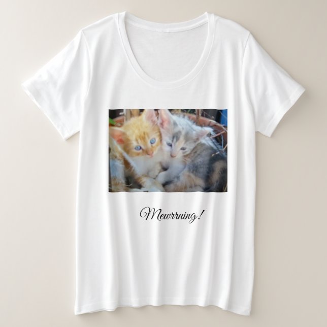 Photo de deux chatons recto, verso cœur patte,  (Design devant)