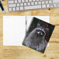 Photo de faune d'un joli raton laveur de forêt