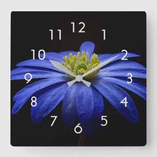 Photo de fleur bleue sur une horloge murale noire