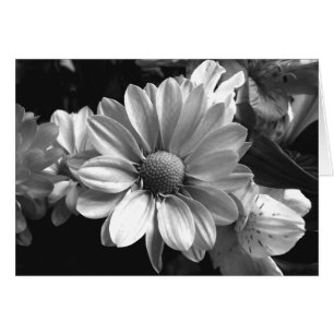 Photo de Fleur noire et blanche