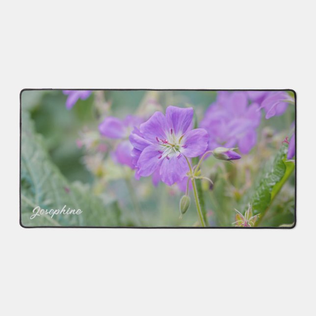 Photo de fleur sauvage de géranium pourpre avec no (Recto)