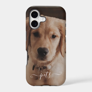 Photo de jolis animaux de compagnie pour se souven
