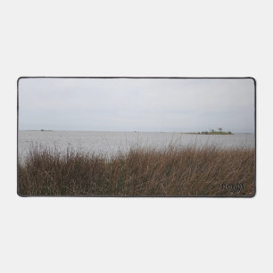 Photo de Juncus rigens menaçant sur la plage du go