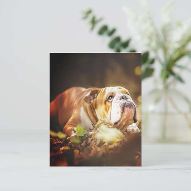 Photo de la forêt de Bulldog en anglais (Debout devant)