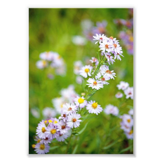 Photo de la ligne de beauté (Devant)