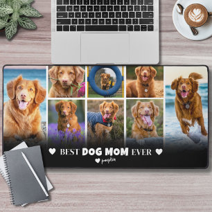 Photo de la maman du chien