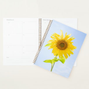 Photo de la nature des tourntournesols