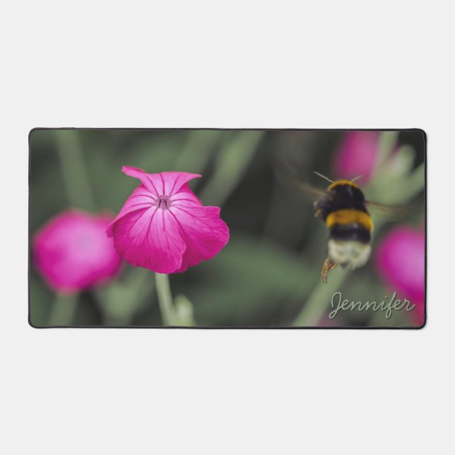 Photo de la nature d'une abeille et d'une fleur ro (Recto)