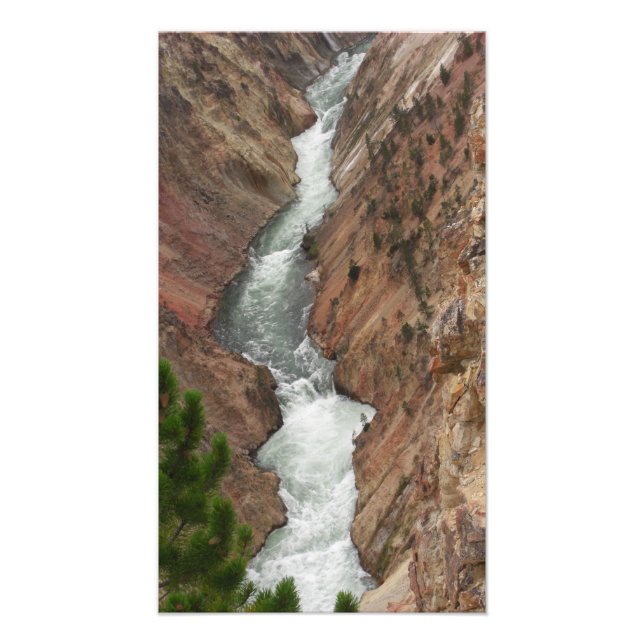 Photo de la rivière Yellowstone (Devant)