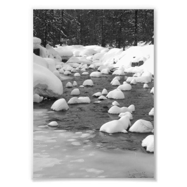 Photo de la rivière Yuba (Devant)