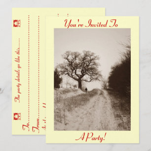 photo de la scène des neiges invitation de noël