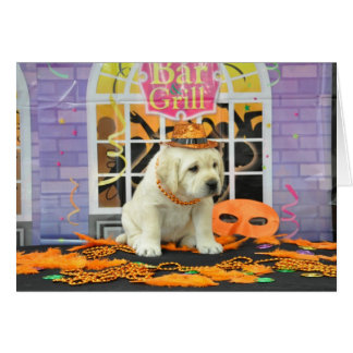 Photo de la semaine 5 de bourrasque