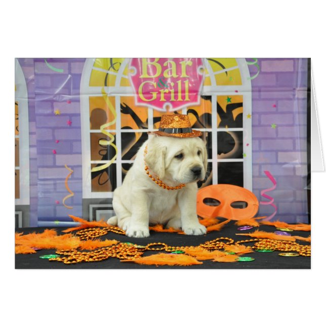 Photo de la semaine 5 de bourrasque (Devant horizontal)