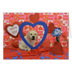 Photo de la semaine 6 de tempête de neige