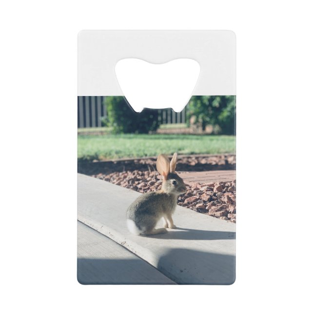 photo de lapin de Pâques printemps (Devant)