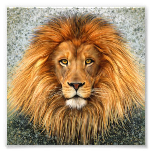 Photo de lion Peinture image
