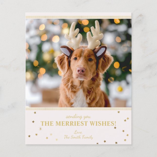 Photo de Noël Budget (Devant)