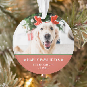 Photo de Noël de chien Joyeux Pawlidays