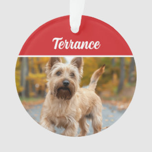 Photo de Noël de l'australien Terrier Dog