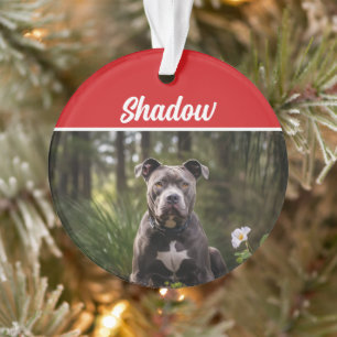 Photo de Noël de Noël du chien Pitbull du mou Blue