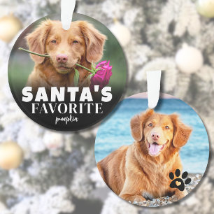 Photo de Noël du chien préféré du Père Noël