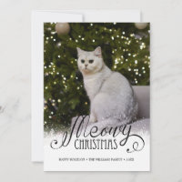 Photo de Noël moderne Meowy Chat Pet Carte de vaca