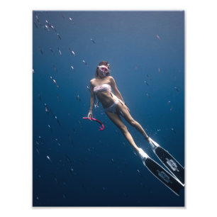 Photo de plongée sous-marine