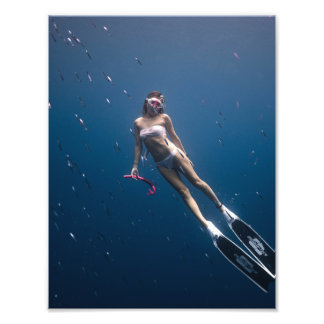 Photo de plongée sous-marine