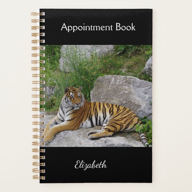 Photo de portrait d'un tigre sibérien (Devant)