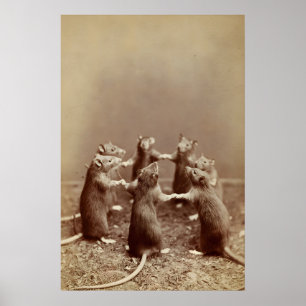 Photo de rituel de rat, impression d'animal vintag