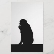 Photo de silhouette de singe faisant la soie denta