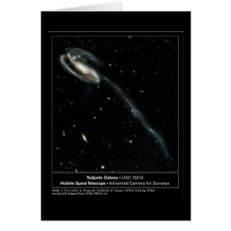 Photo de télescope de Hubble de galaxie de têtard