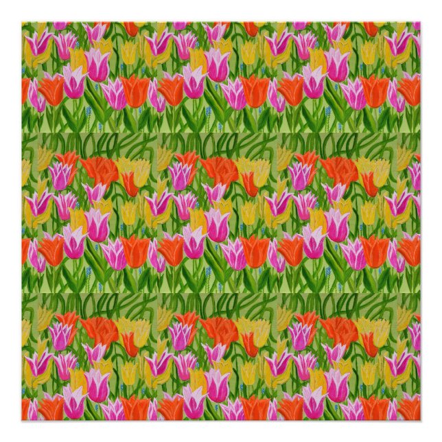 Photo de tulipes  (Devant)