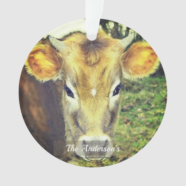 Photo de vache personnalisée sur mesure (devant)