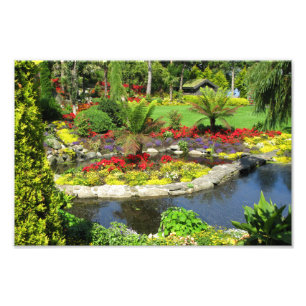Photo décorative de beau parc