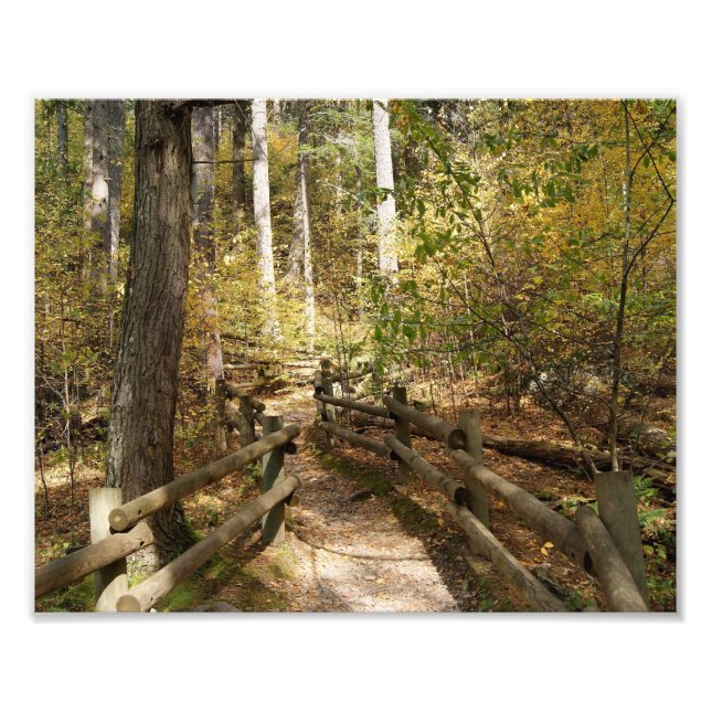 Photo Destiny Impression photographique 10x8 (Devant)