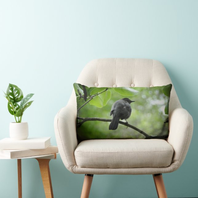 Photo D'Oiseau De Chat Sur Un Oreiller À Thon (Chaise)