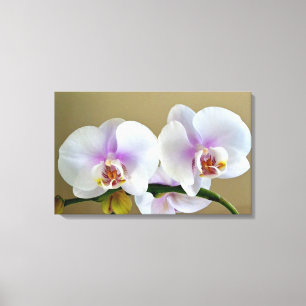 Photo d'orchidée exotique sur toile