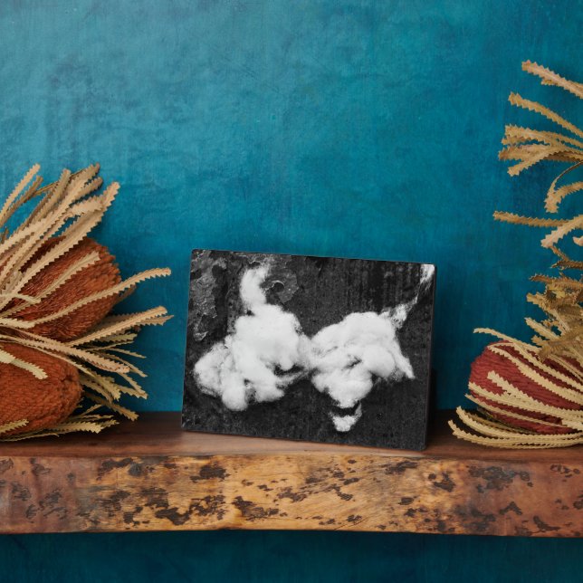 Photo down fluffy plaque (Côté)