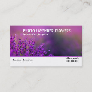 Photo du Carte de visite de fleurs de lavande