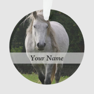 Photo du poney de Cute