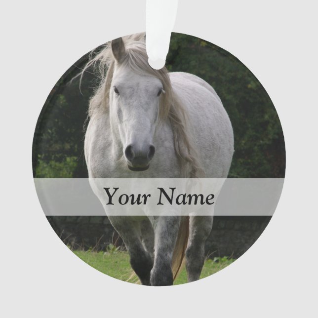 Photo du poney de Cute (devant)