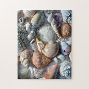 Photo du puzzle Seashells