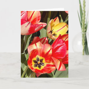 Photo d'une Fleur de Nouvelle-Angleterre Carte de