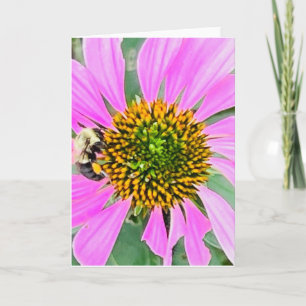Photo d'une Fleur de Nouvelle-Angleterre Carte de