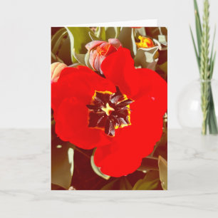Photo d'une Fleur de Nouvelle-Angleterre Carte de
