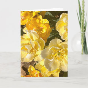 Photo d'une Fleur de Nouvelle-Angleterre Carte de